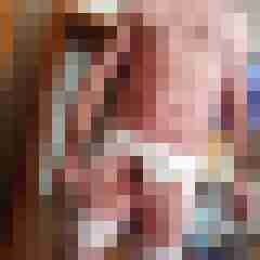lippke