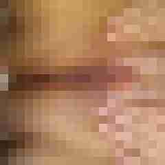 Pasc84