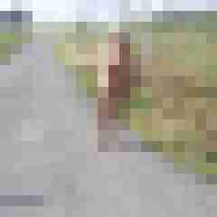 Letsy4u2c