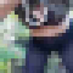 Mistbiene