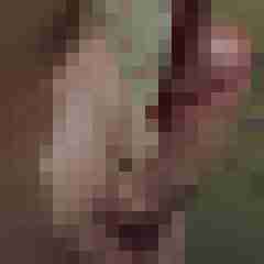 Chris5001984