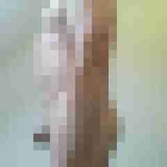 exib1