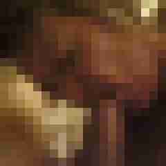 Letsy4u2c