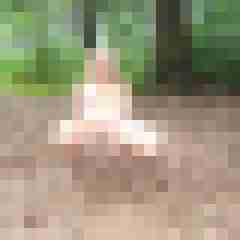 Letsy4u2c