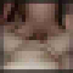 hasehase23