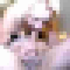 picturefreak