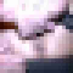 picturefreak