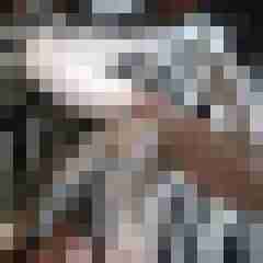 ramm000