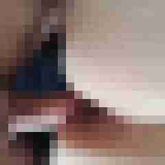 Paards