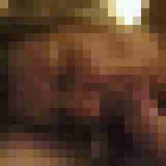 Letsy4u2c