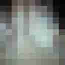 Frecher_Hase