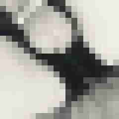 signothetimes