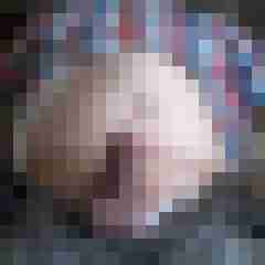 cock01