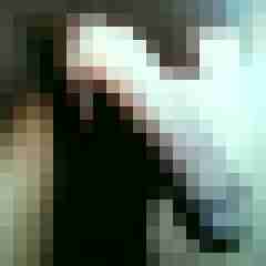 amsel27