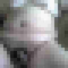 obelus_basel19