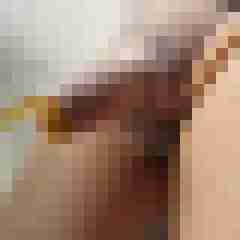 satiner