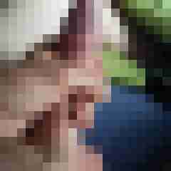 pilate