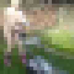 Letsy4u2c