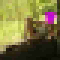 Shemale792