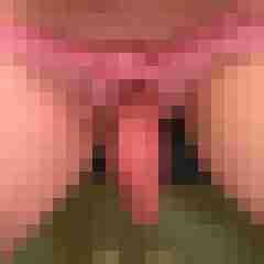signothetimes