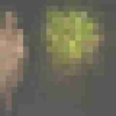 Letsy4u2c