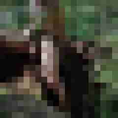 doline
