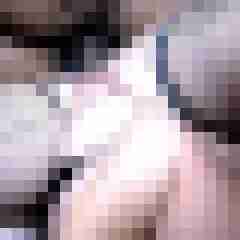 picturefreak