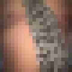 rogerspitz
