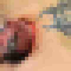 seemann0706