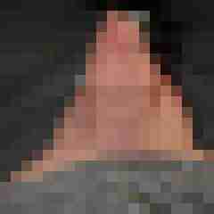 funratte