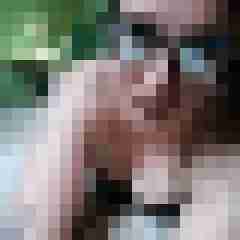 Mistbiene