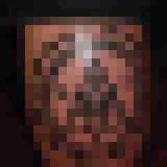 noctolus