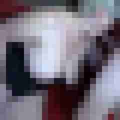 picturefreak