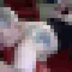 picturefreak