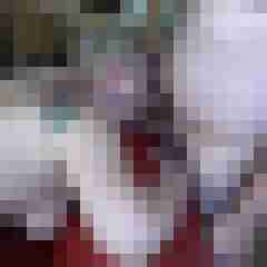 picturefreak