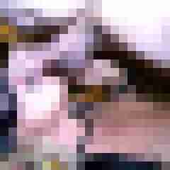 picturefreak