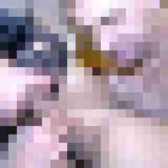 picturefreak