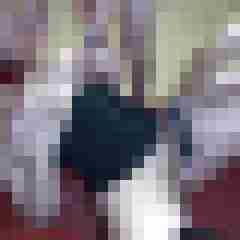picturefreak