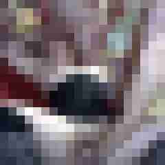 picturefreak