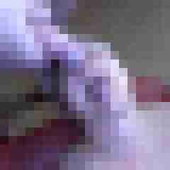 picturefreak