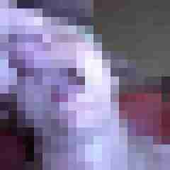 picturefreak