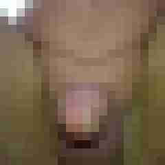 ShavedOlli