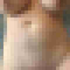 suche49