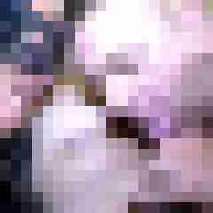 picturefreak