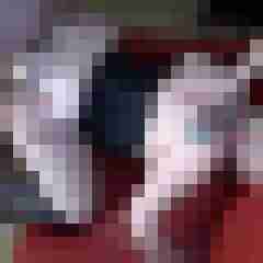 picturefreak