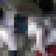 picturefreak