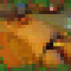 hasehase23
