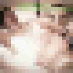 Toddel