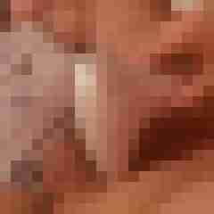 AlexN