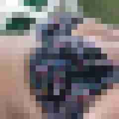 Hotte2